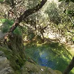 Oxpira