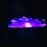 Oxpira *