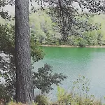 Oxpira * Palaja