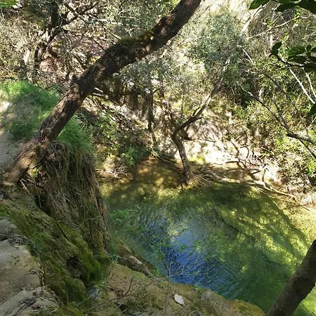Oxpira