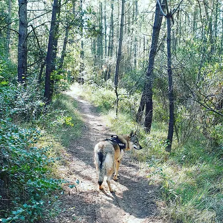 Oxpira Kwatera prywatna