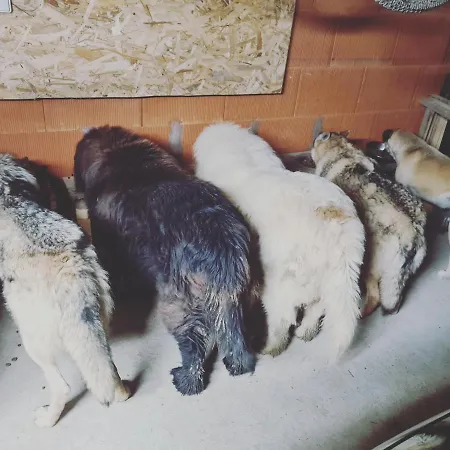 Habitación en casa particular Oxpira