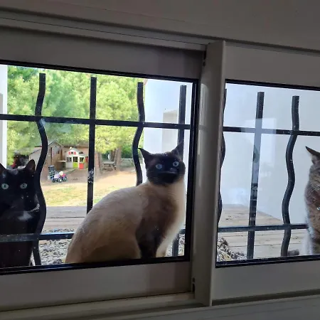 Habitación en casa particular Oxpira Palaja